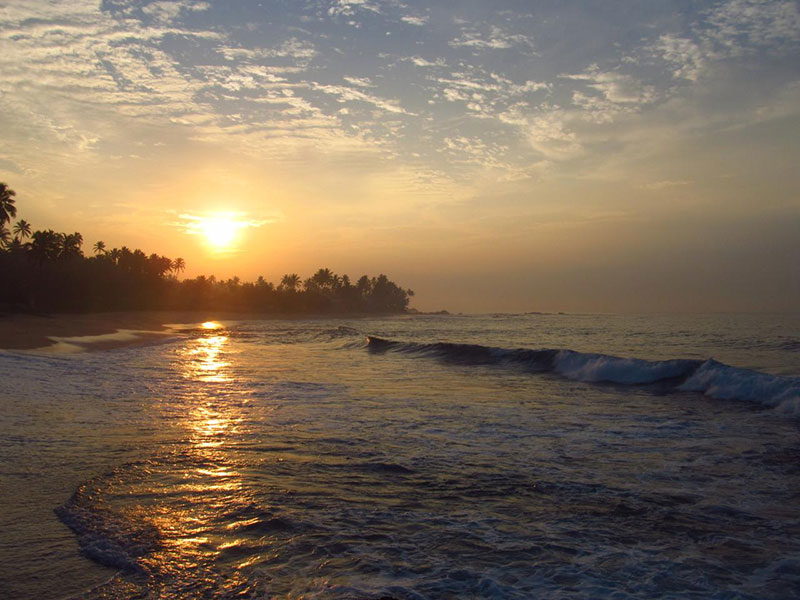 Best things to do in Ahangama