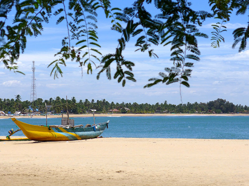 Best things to do in Arugam Bay