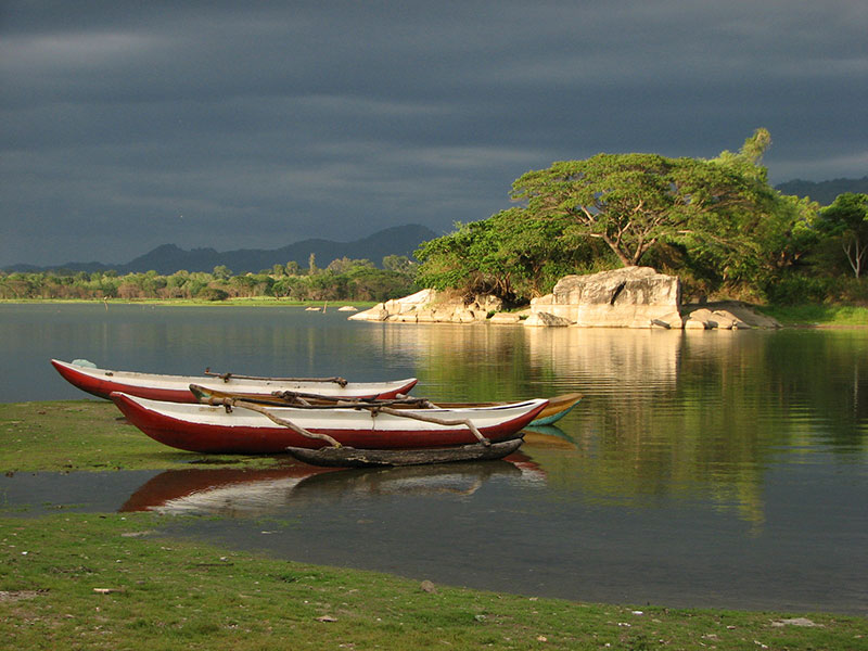 Best things to do in Buttala