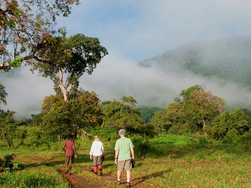 Best things to do in Buttala