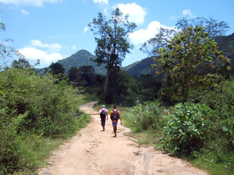 Best things to do in Buttala