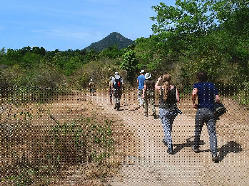 Best things to do in Buttala