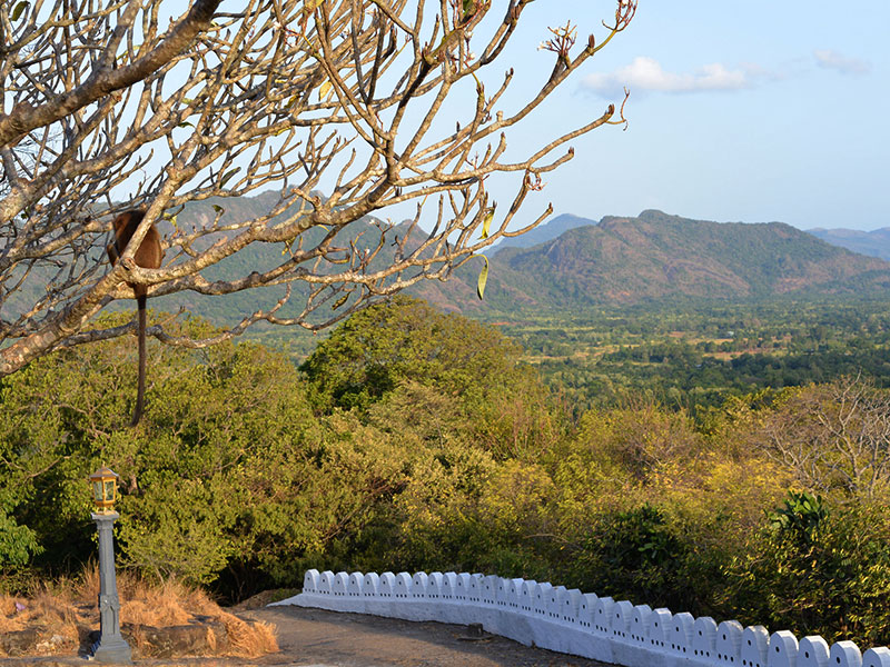 Best things to do in Dambulla