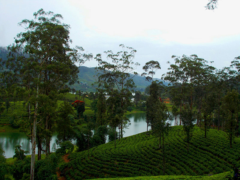 Best things to do in Hatton