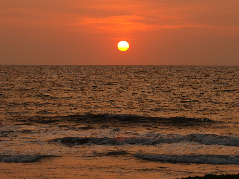 Best things to do in Induruwa