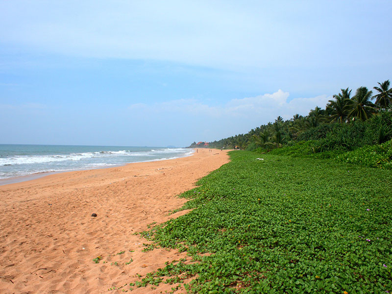 Best things to do in Induruwa