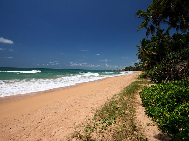 Best things to do in Induruwa