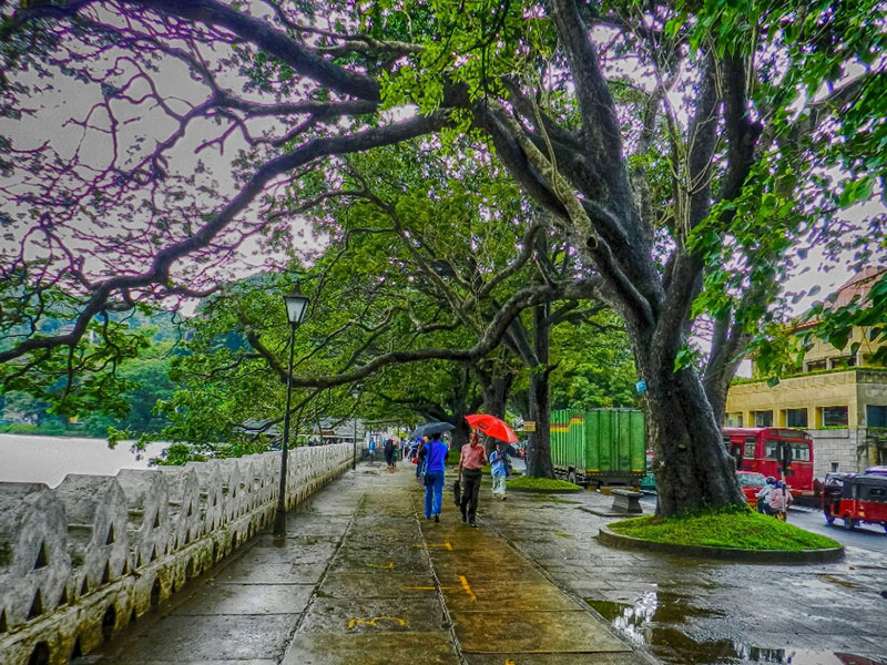 Best things to do in Kandy