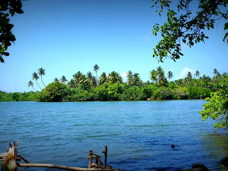 Best things to do in Koggala