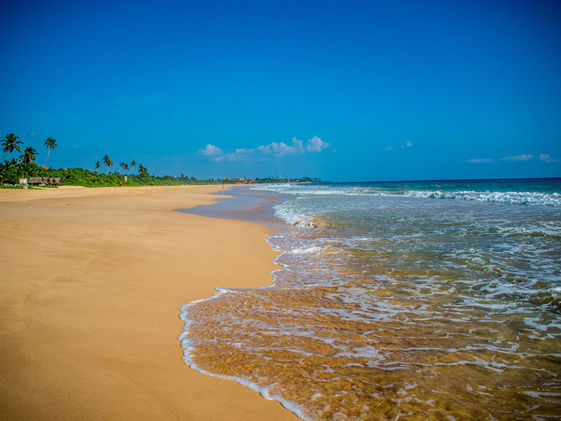 Best things to do in Koggala