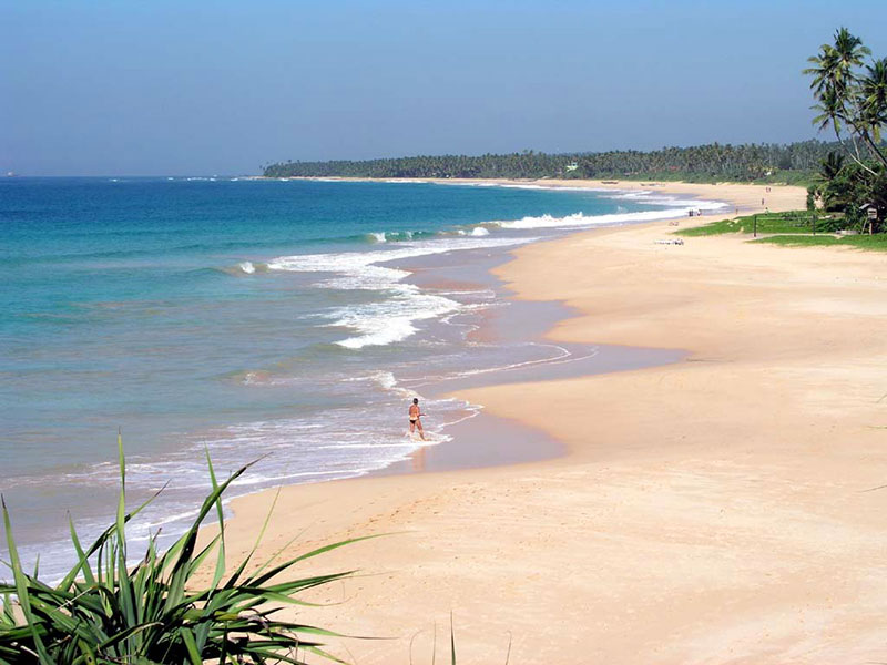 Best things to do in Koggala