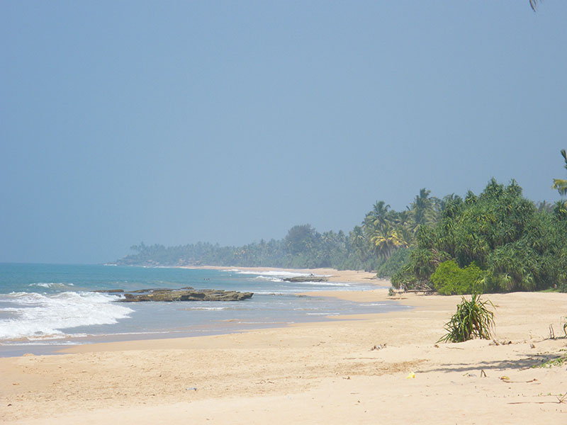 Best things to do in Kosgoda