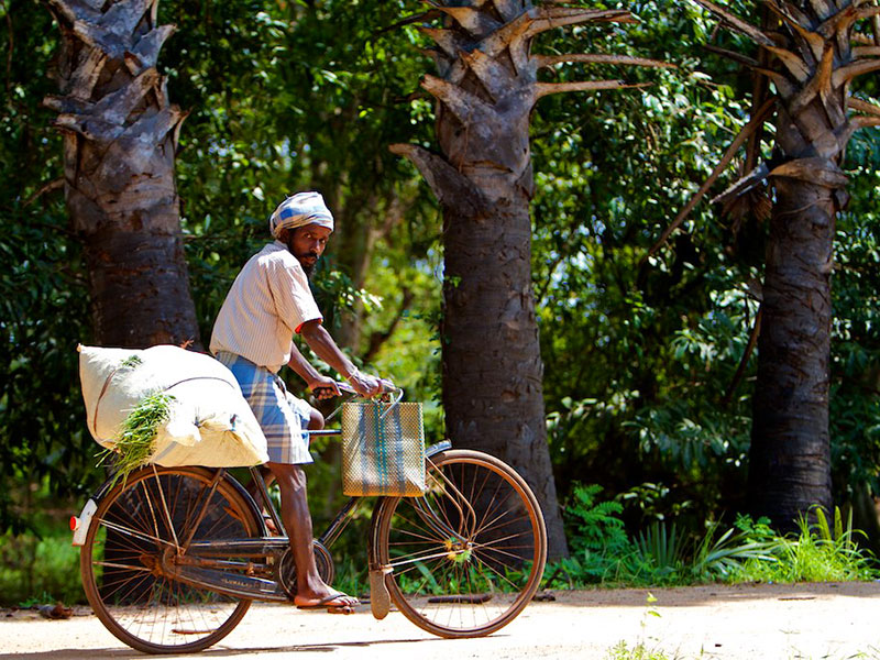 Best things to do in Mannar