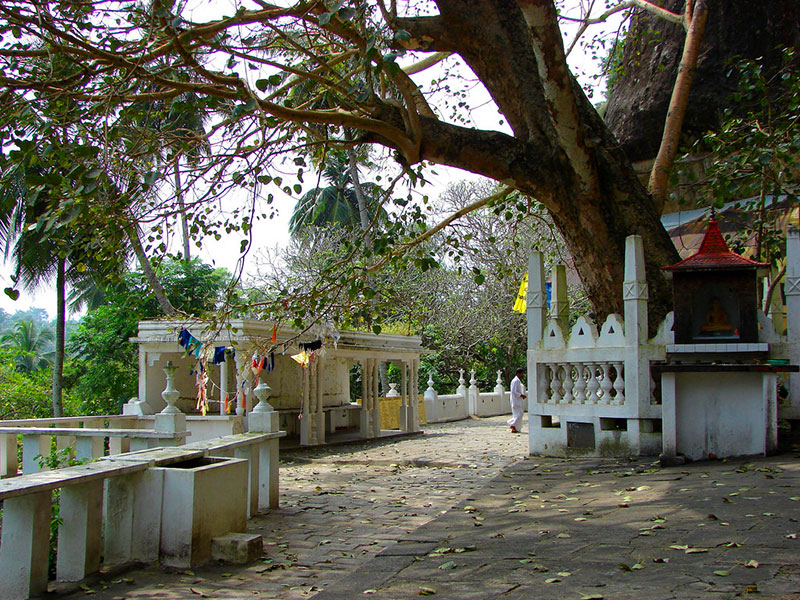 Best things to do in Mulkirigala