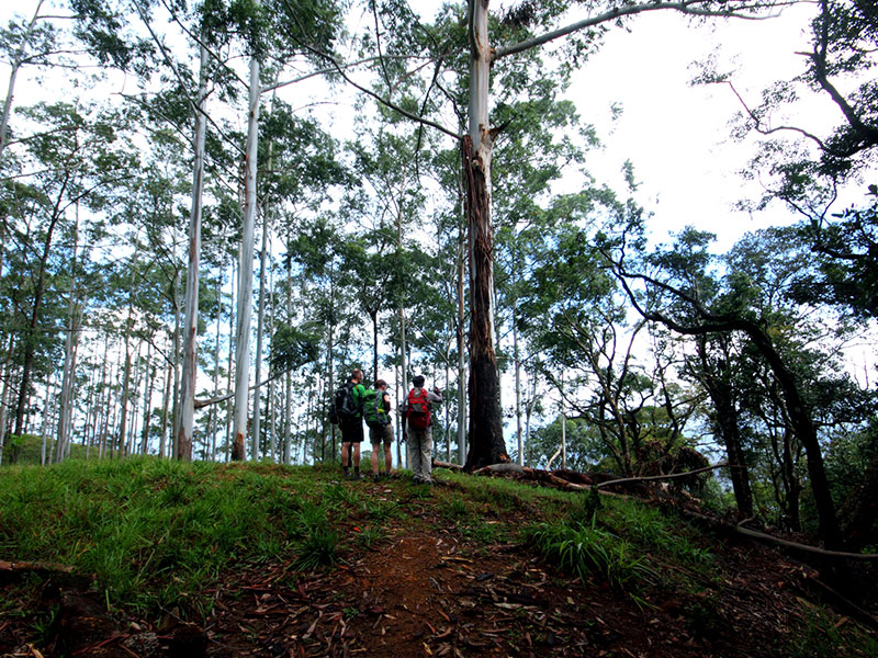 Best things to do in Ohiya