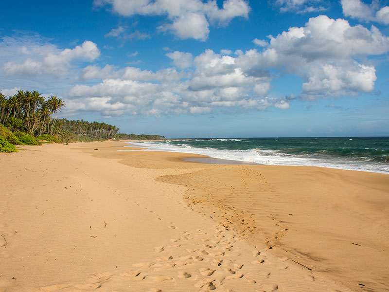 Best things to do in Rekawa