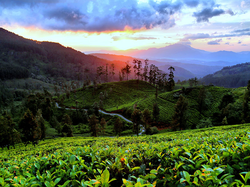 Best things to do in Riverston