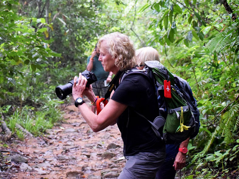 Best things to do in Sinharaja Rain Forest