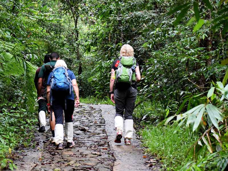 Best things to do in Sinharaja Rain Forest