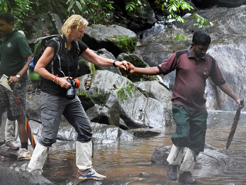 Best things to do in Sinharaja Rain Forest