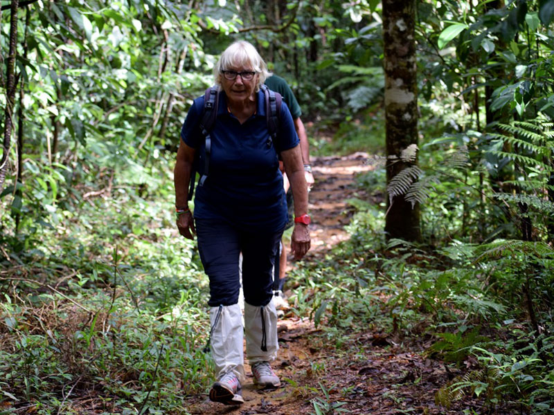 Best things to do in Sinharaja Rain Forest