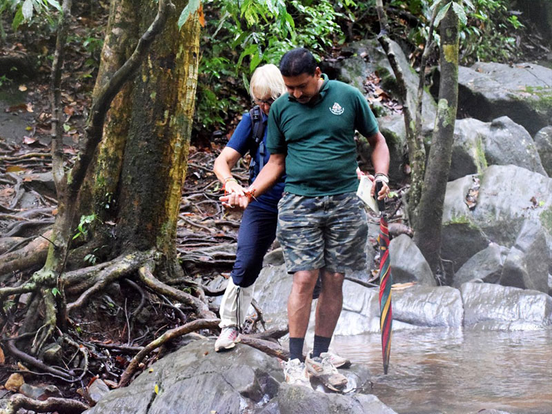 Best things to do in Sinharaja Rain Forest