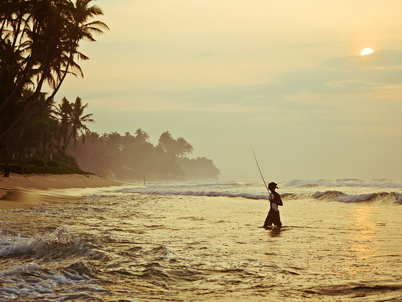Best things to do in Thalpe