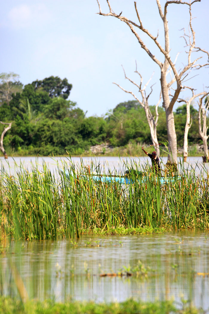 Best things to do in Wellawaya