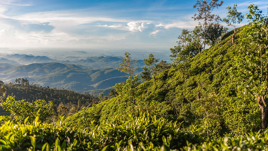 Haputale - Sri Lanka